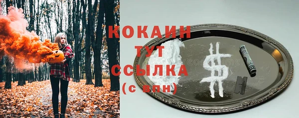 хмурый Рославль