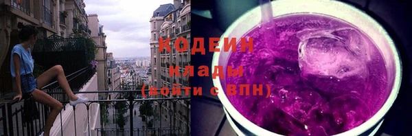хмурый Рославль