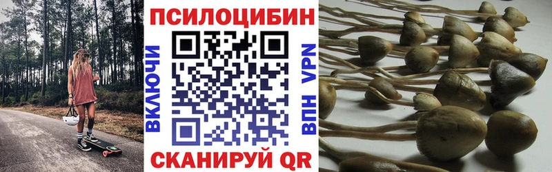 Псилоцибиновые грибы Psilocybe  цена наркотик  Альметьевск 