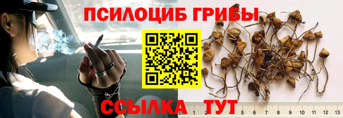 Галлюциногенные грибы прущие грибы  Псилоцибиновые грибы GOLDEN TEACHER  Вход с VPN  Альметьевск 
